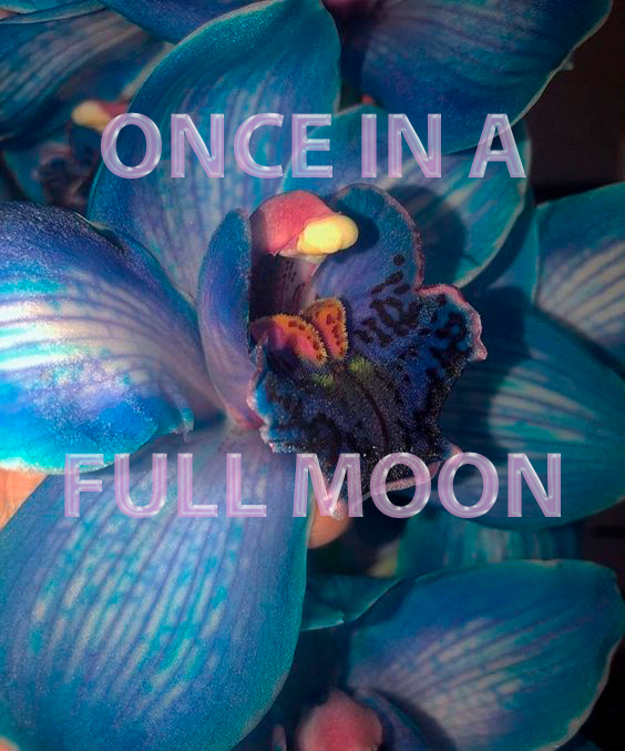 Once in a full moon