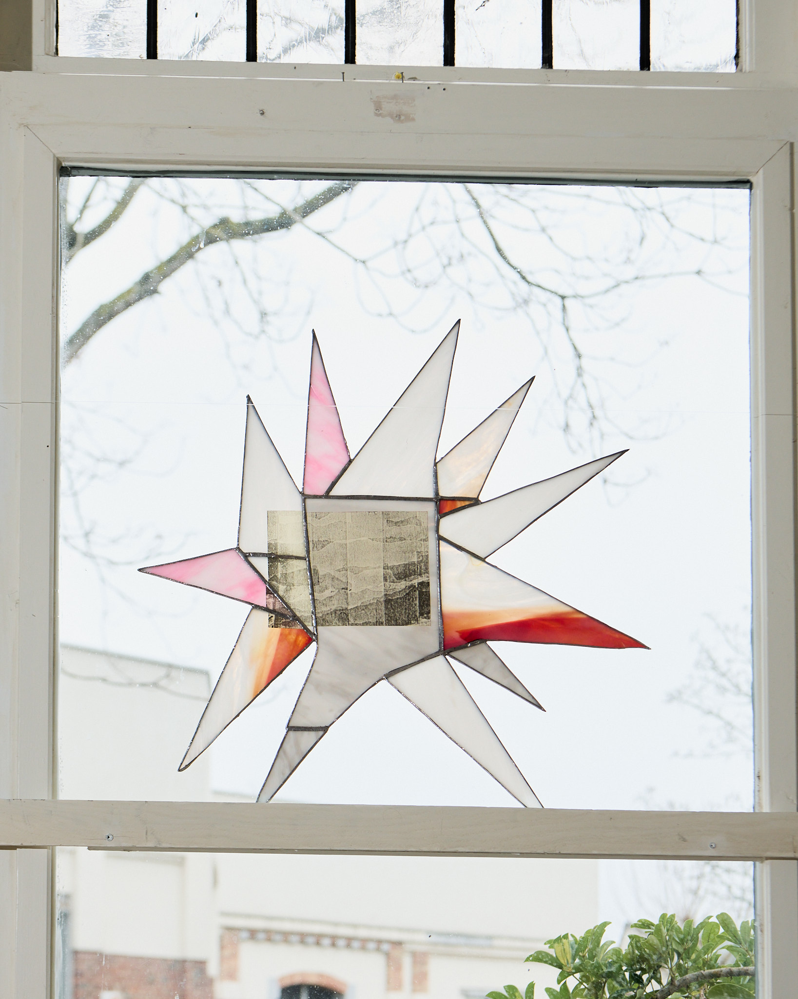 Stella image 3